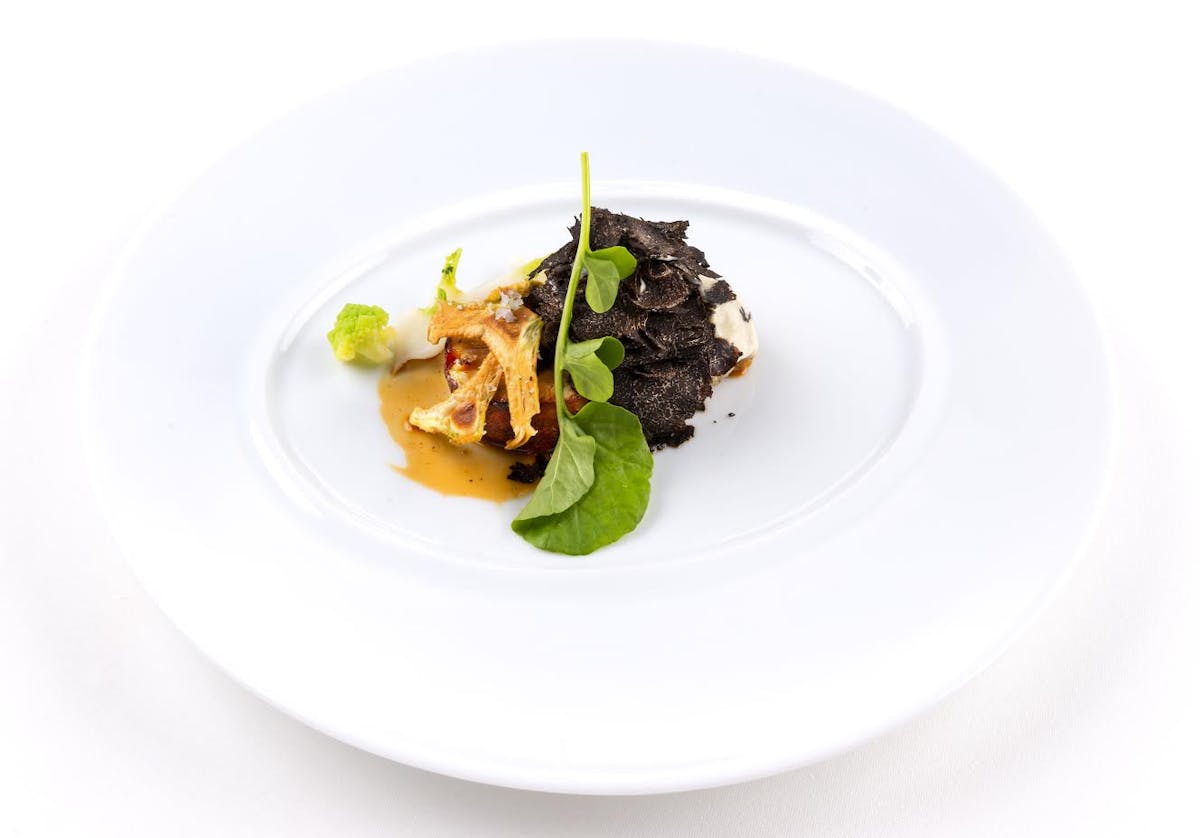 a white plate topped with a piece of food